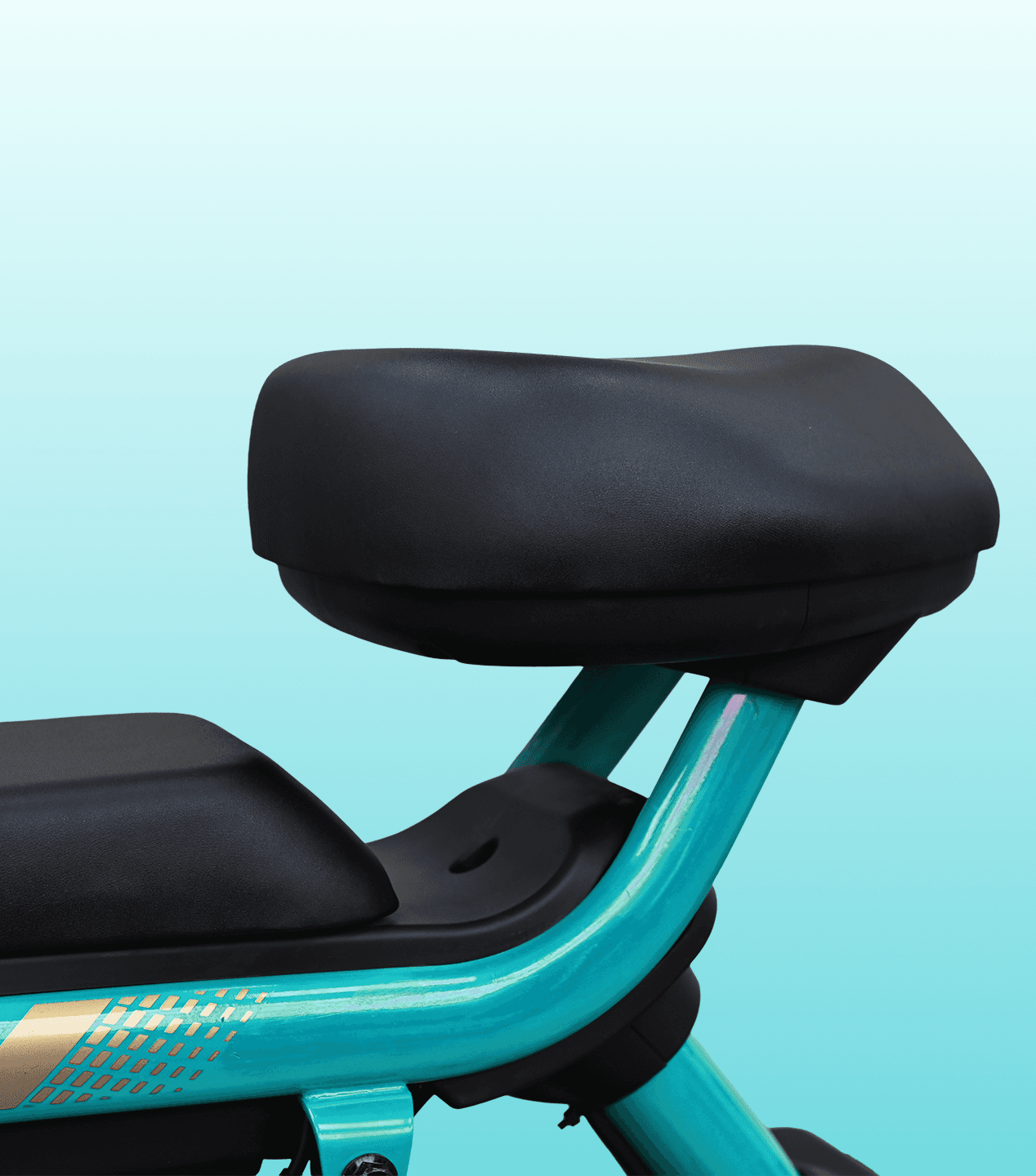 Wide Cushioned Seat